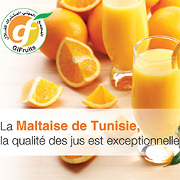 affiche-Gifruits-mbdesign