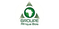 Afrique bois-logo-MB-design