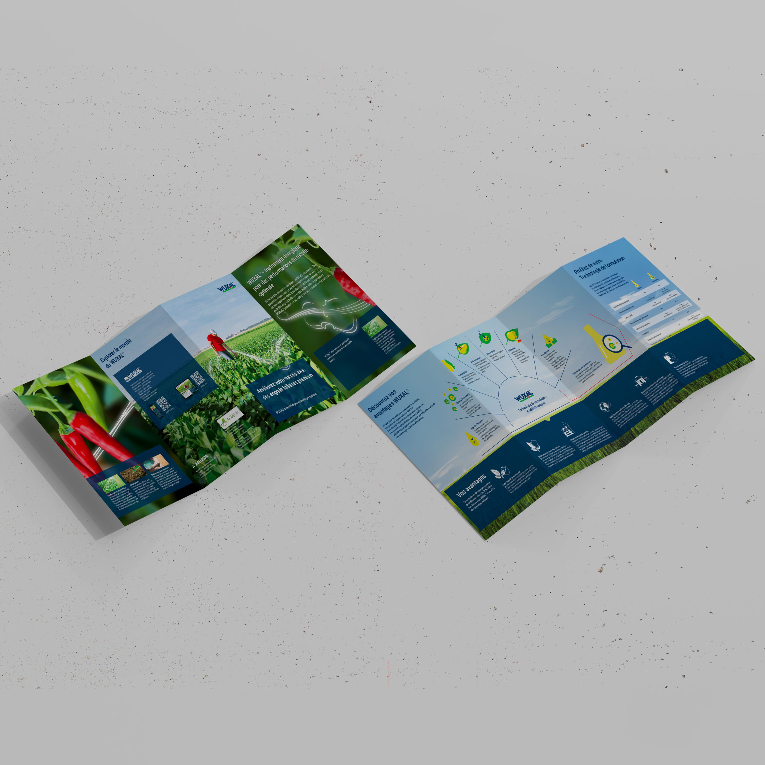 Conception-brochure-agripro-MB-Design