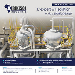 affiche-Afrikisol-groupe-mbdesign