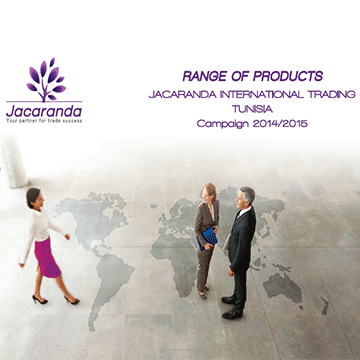 conception-brochure-jacaranda-MB-Design