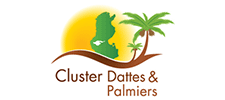 logo-cluster-et-palmiers-MB-Design