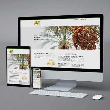 conception-site-web-Cluster-Dattes-&-Palmiers-MB-design